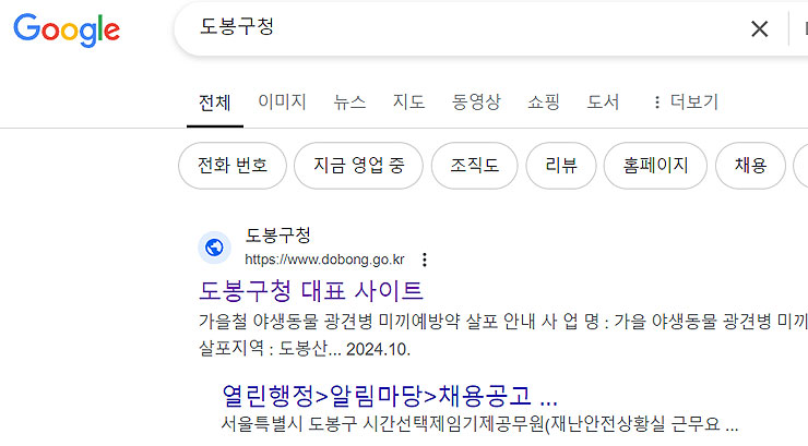구글에-도봉구청-검색-결과
