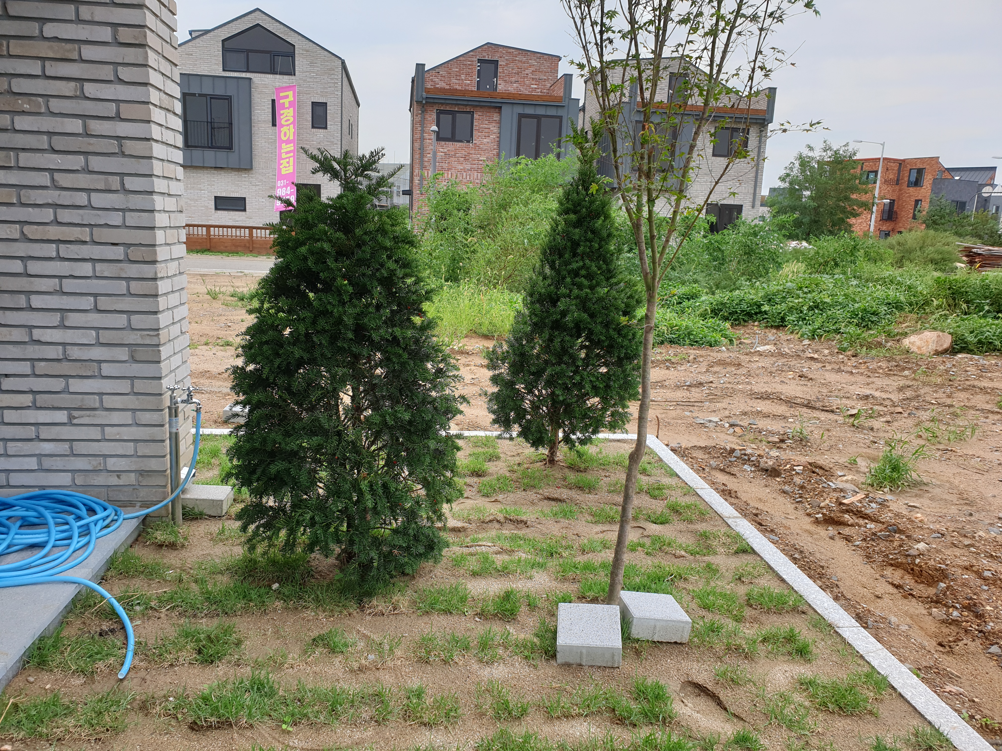 외부 조경으로 나무를 식재하고 있는 모습