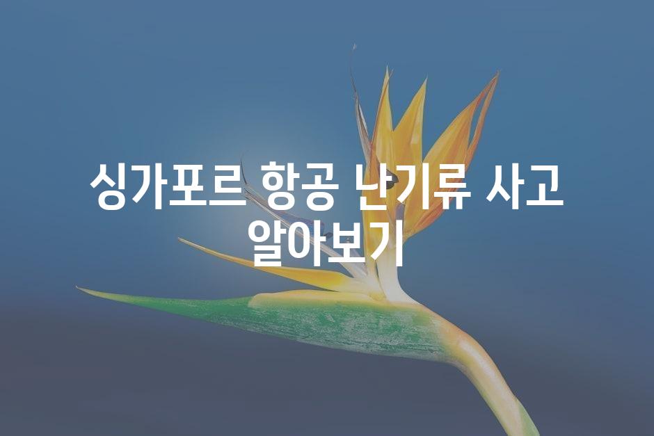 샘플 (45)
