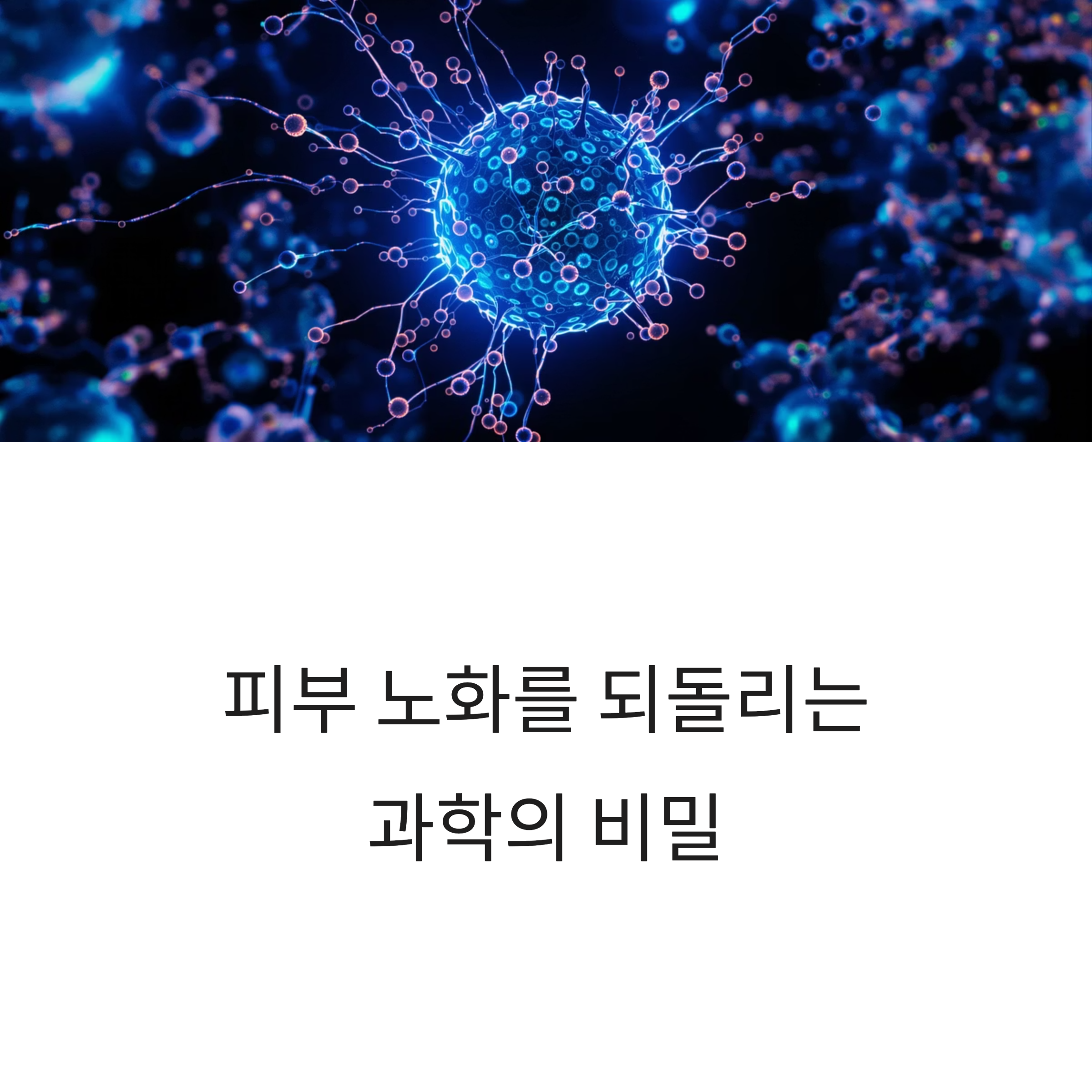 젊음을 지키는 과학, 엑실런 엑소에이징의 비밀