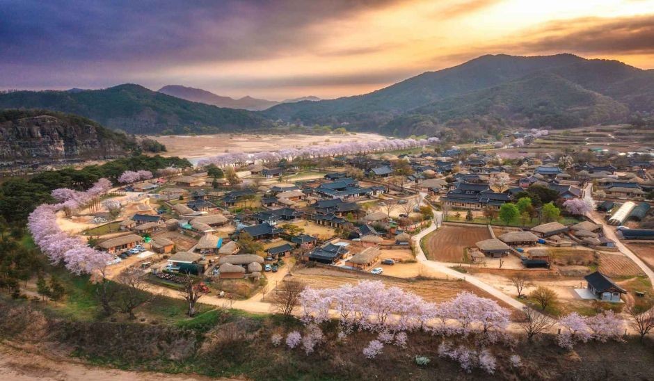 안동 하회마을 관련 사진