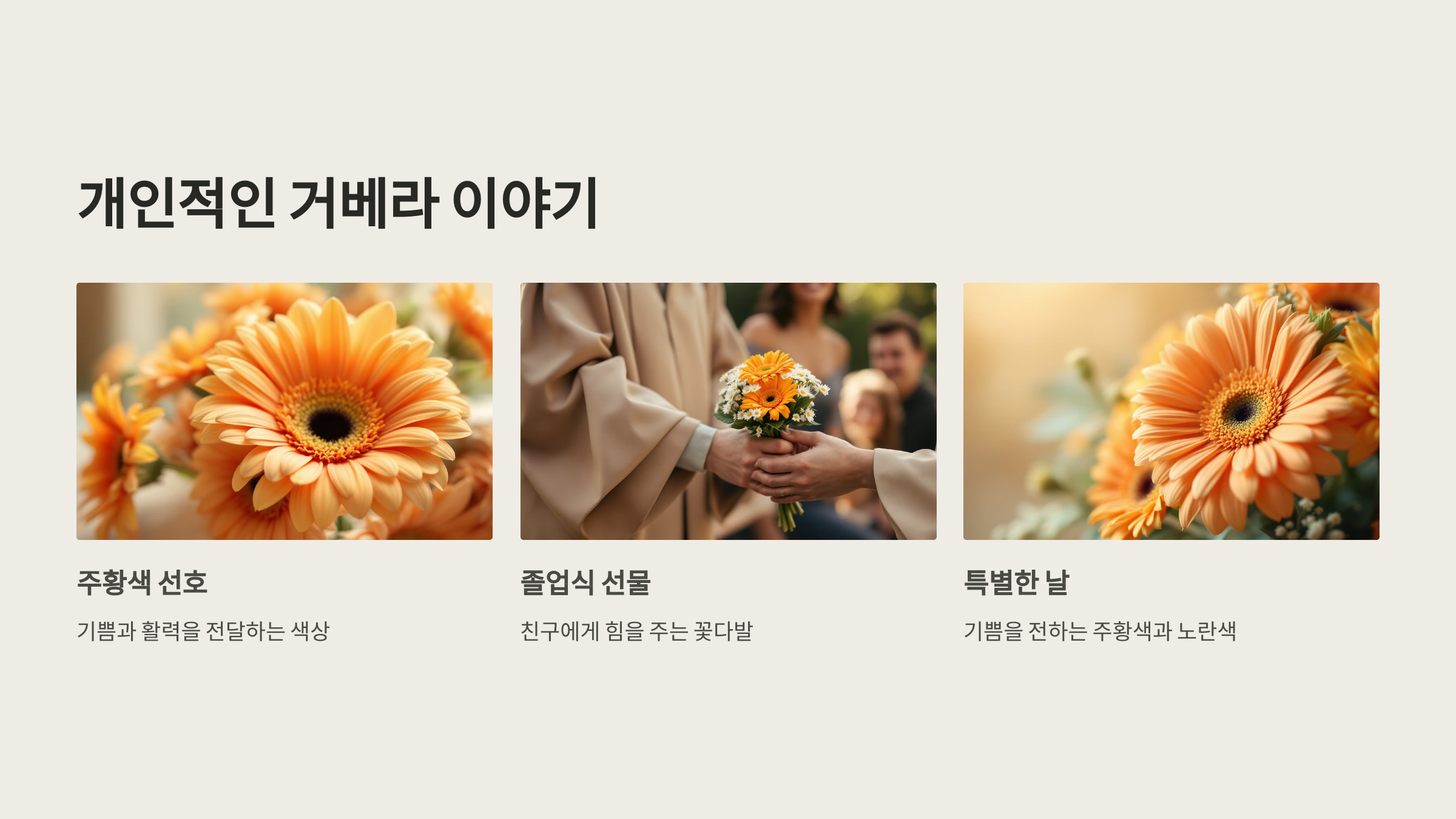 거베라 꽃말