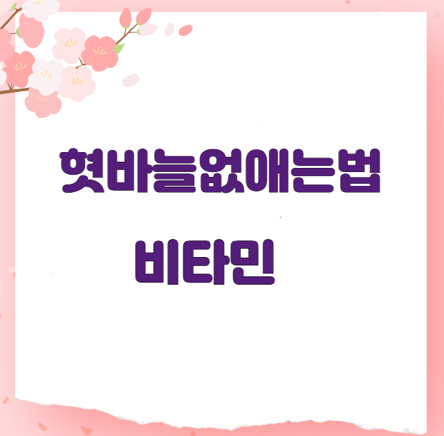 혓바늘없애는법 비타민