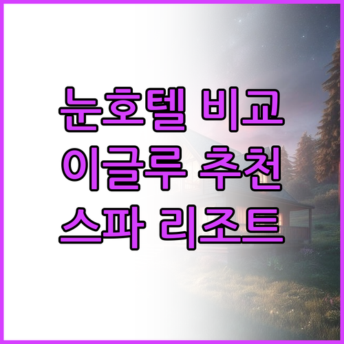 아틱 스노우호텔 글라스 이글루 인비저