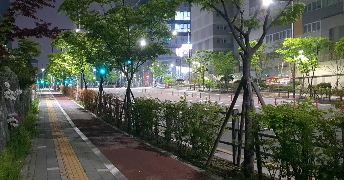 밤거리의 녹색 가로수
