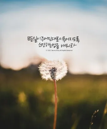 에픽테토스 철학자 스토아 철학_18