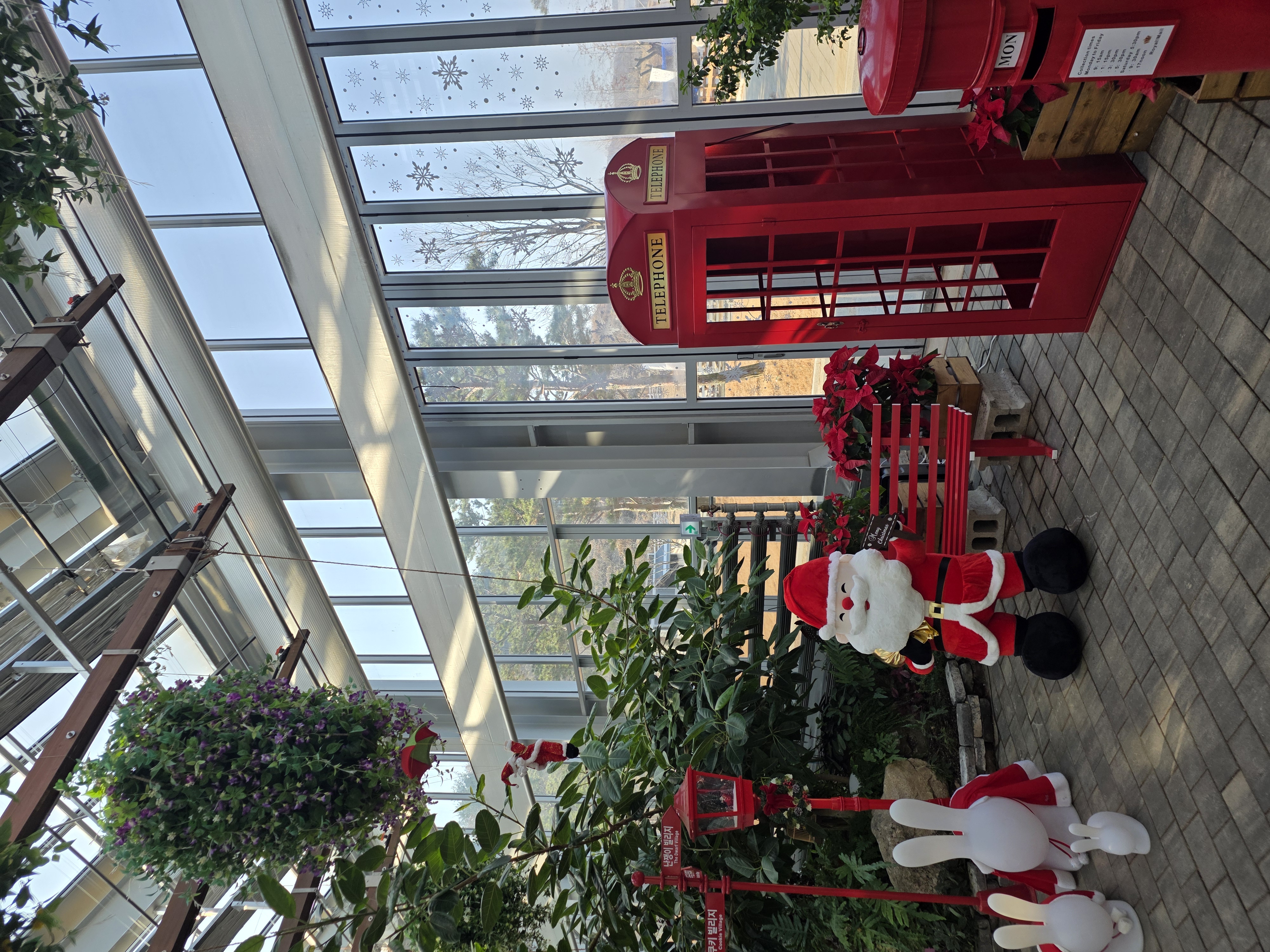 베고니아 정원 in 가평