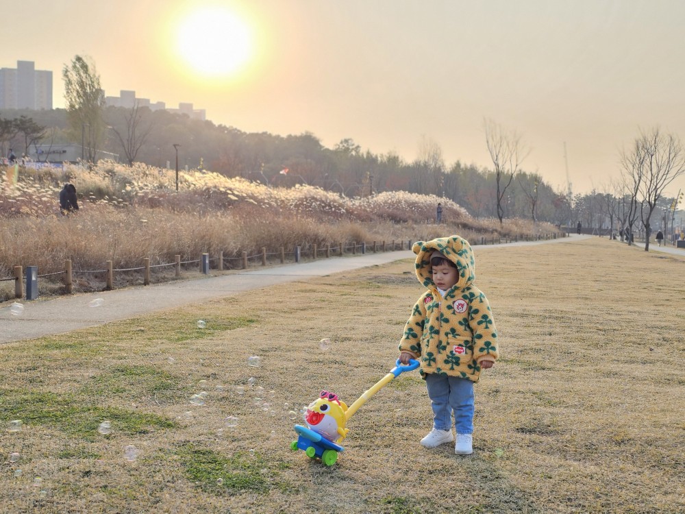 버블밀대 사용후기