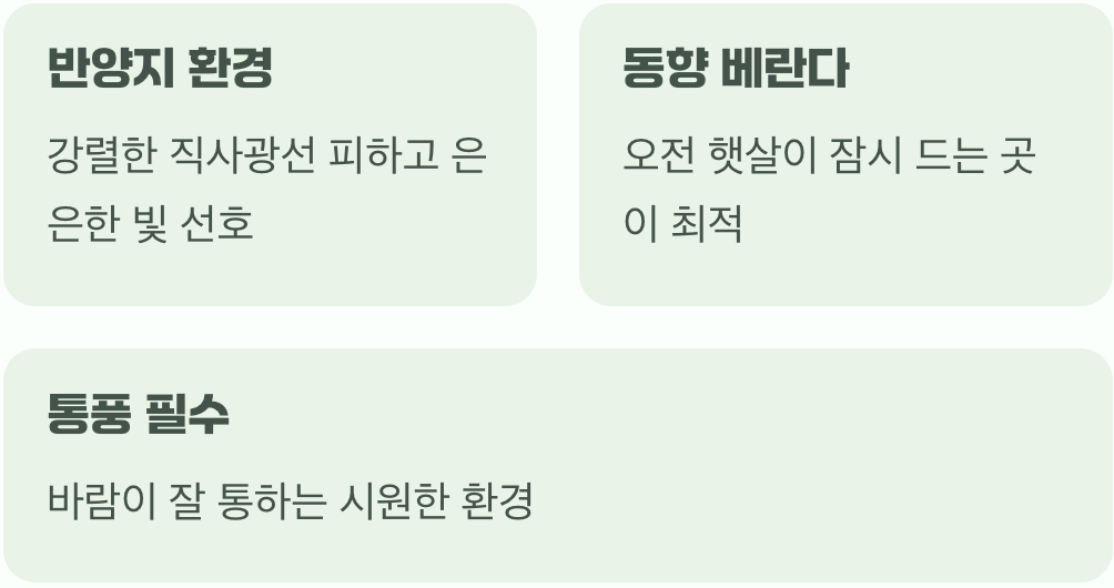 햇볕은 부드럽게, 바람은 시원하게