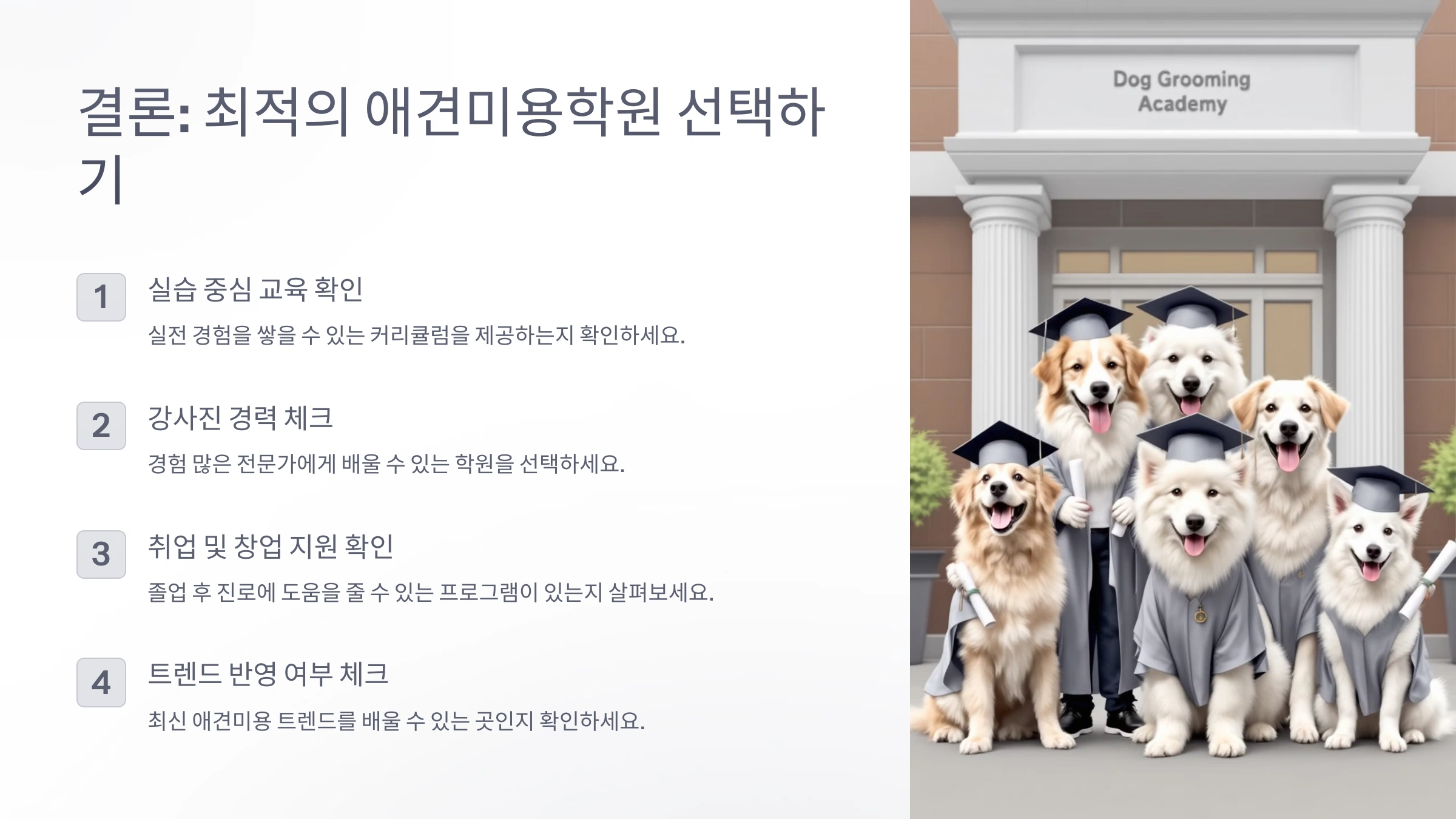 애견미용학원 추천! 실습 위주 TOP 학원 리스트