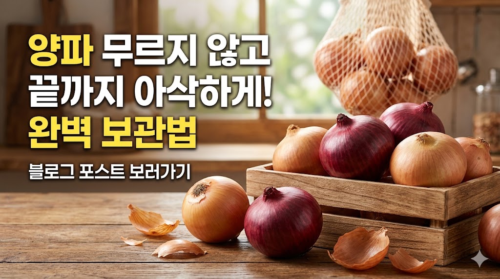 양파 보관법
