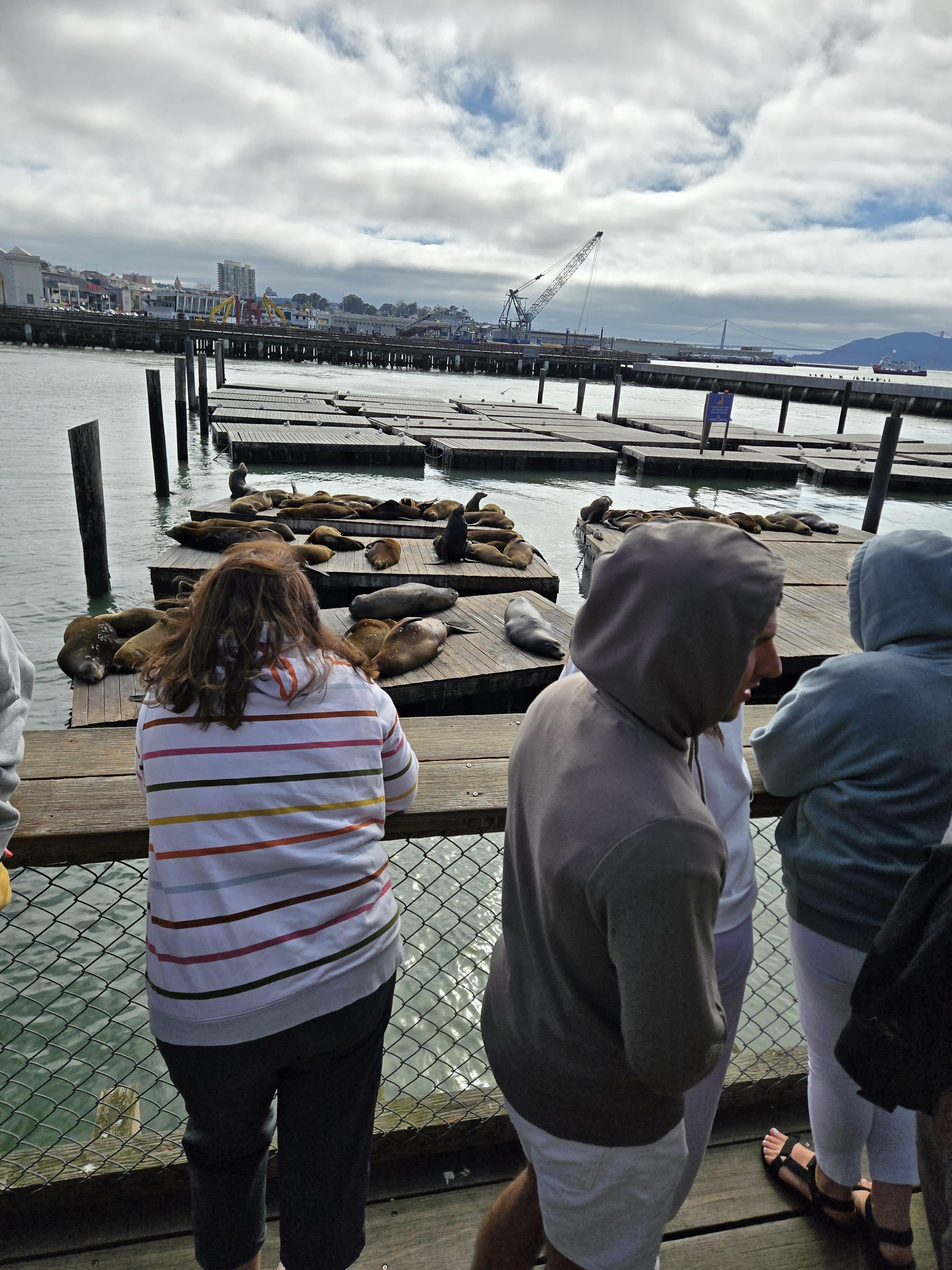 산호세에서 떠난 샌프란시스코 당일치기 여행기 관련사진