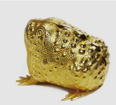 금두꺼비 사진