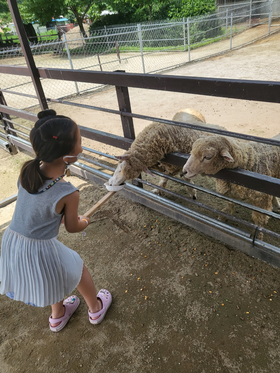 더플레이그라운드