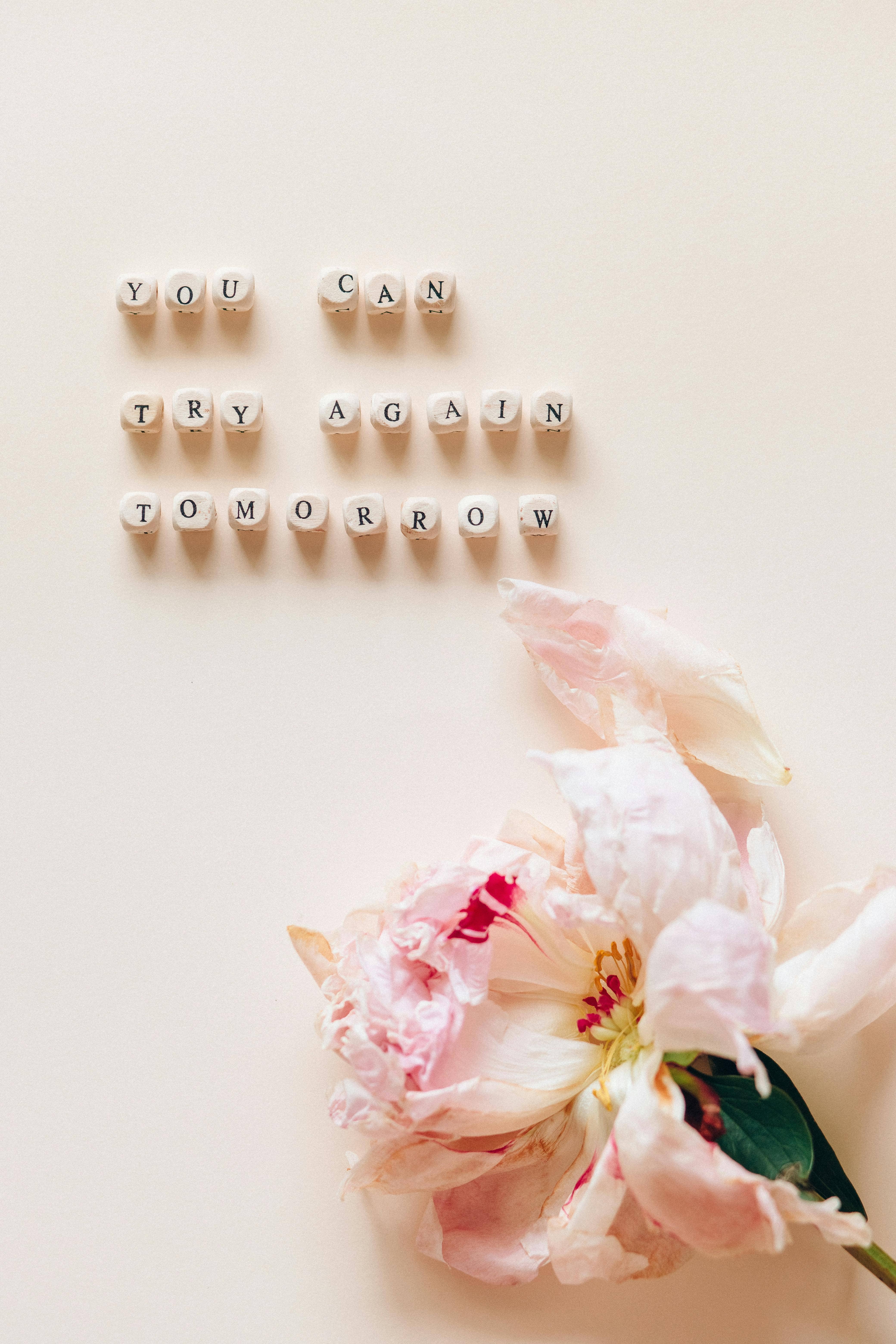 교육학 평가를 수업과 연결하는 피드백 전략 심화