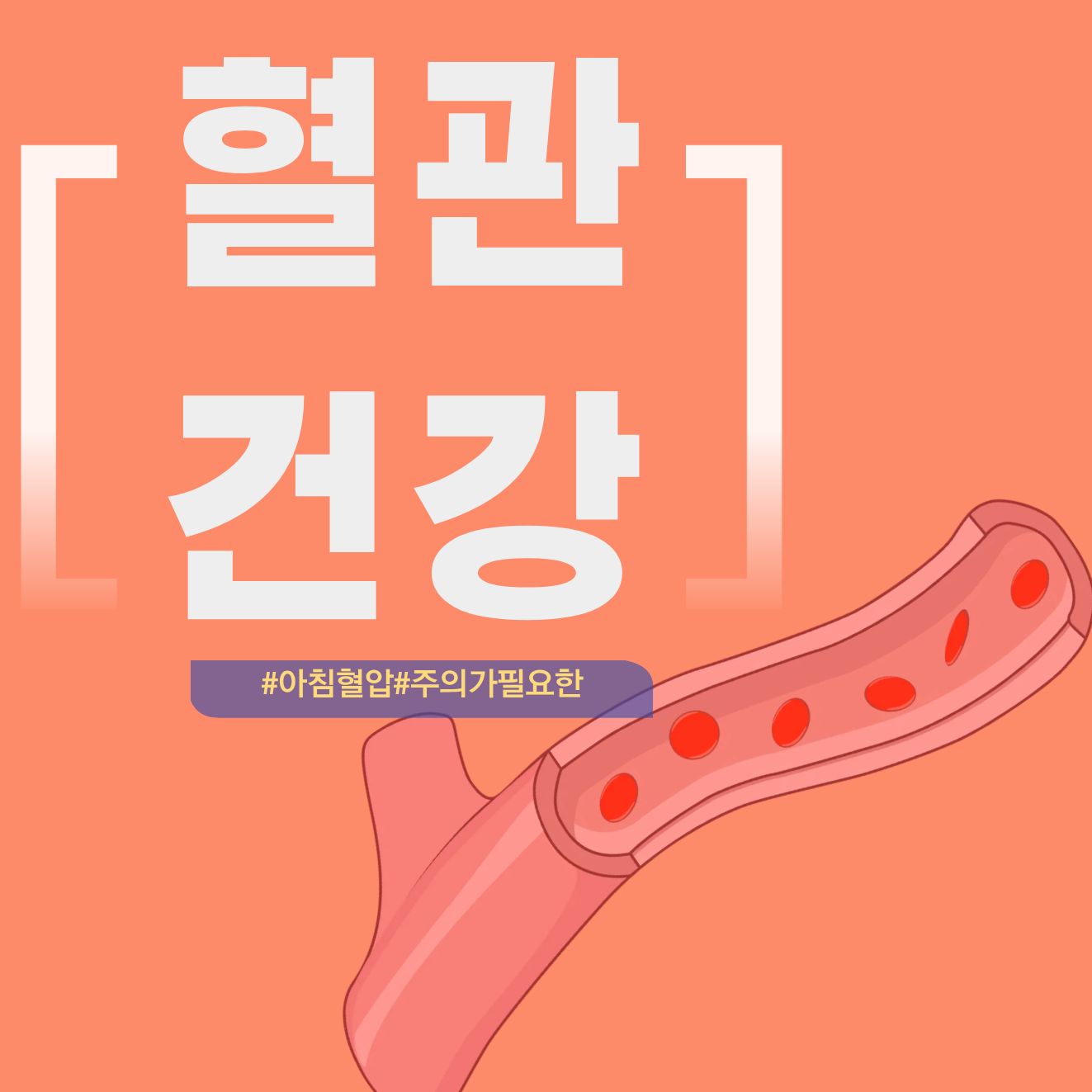 중장년 아침 혈압 관리, 왜 더 중요할까