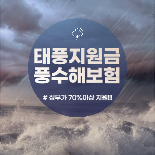 태풍피해지원금-풍수해보험