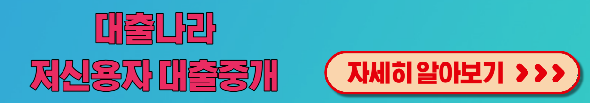 대출나라