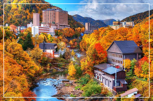 일본 효도 여행