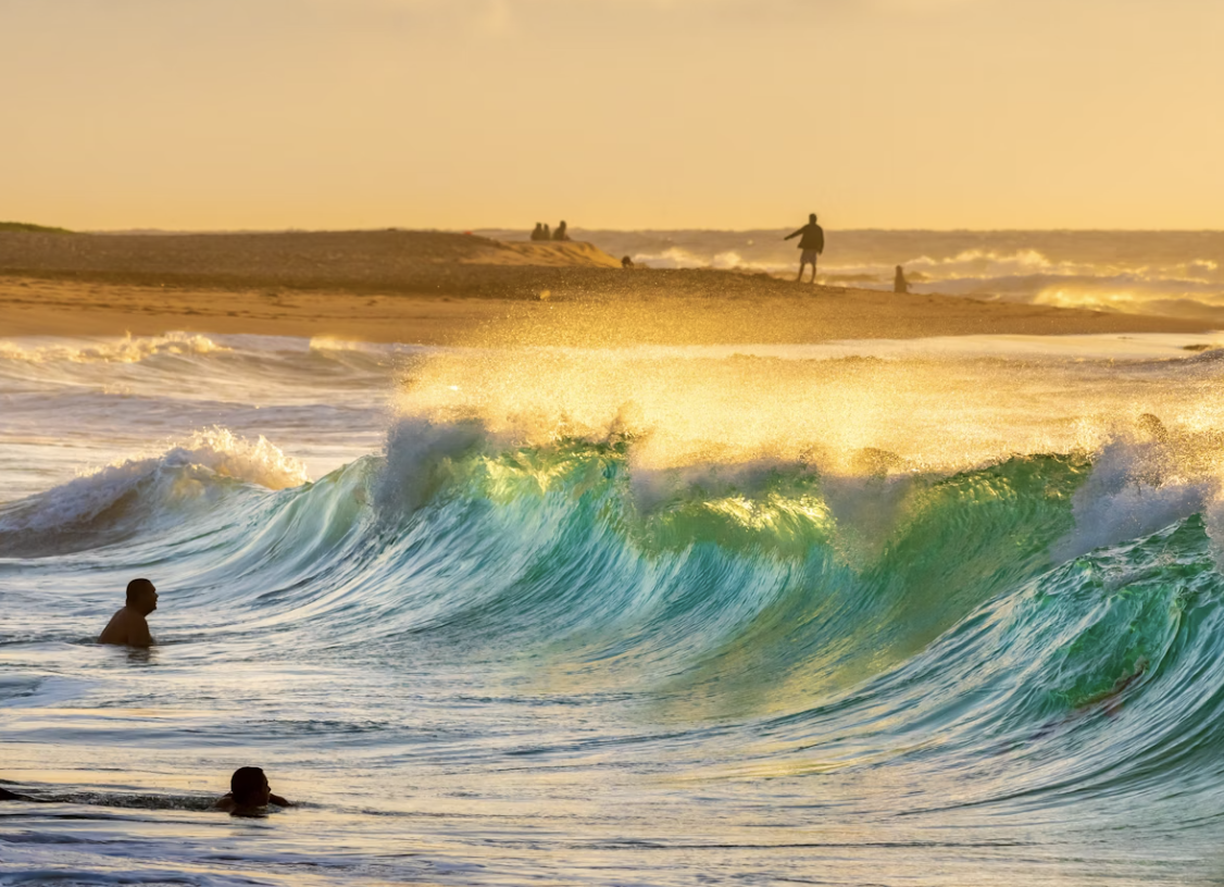 하와이주 몰로카이섬의 숨은 명소 관련 사진