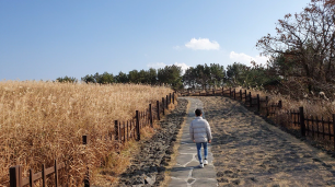 산굼부리 산책길
