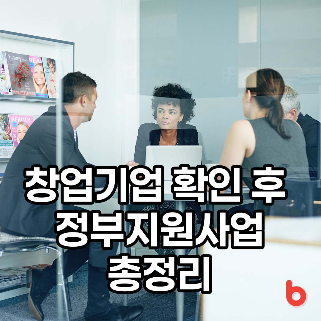 창업기업 정부지원사업