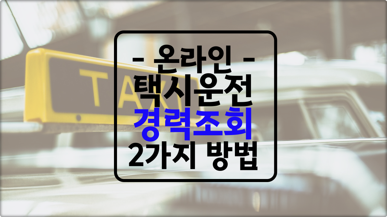 택시 운전경력 조회