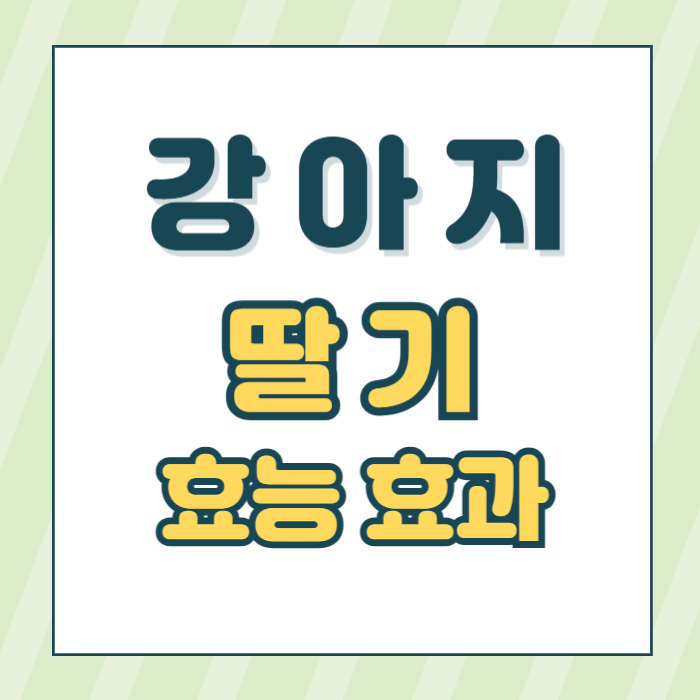 강아지딸기먹어도