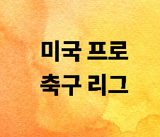 미국프로축구리그