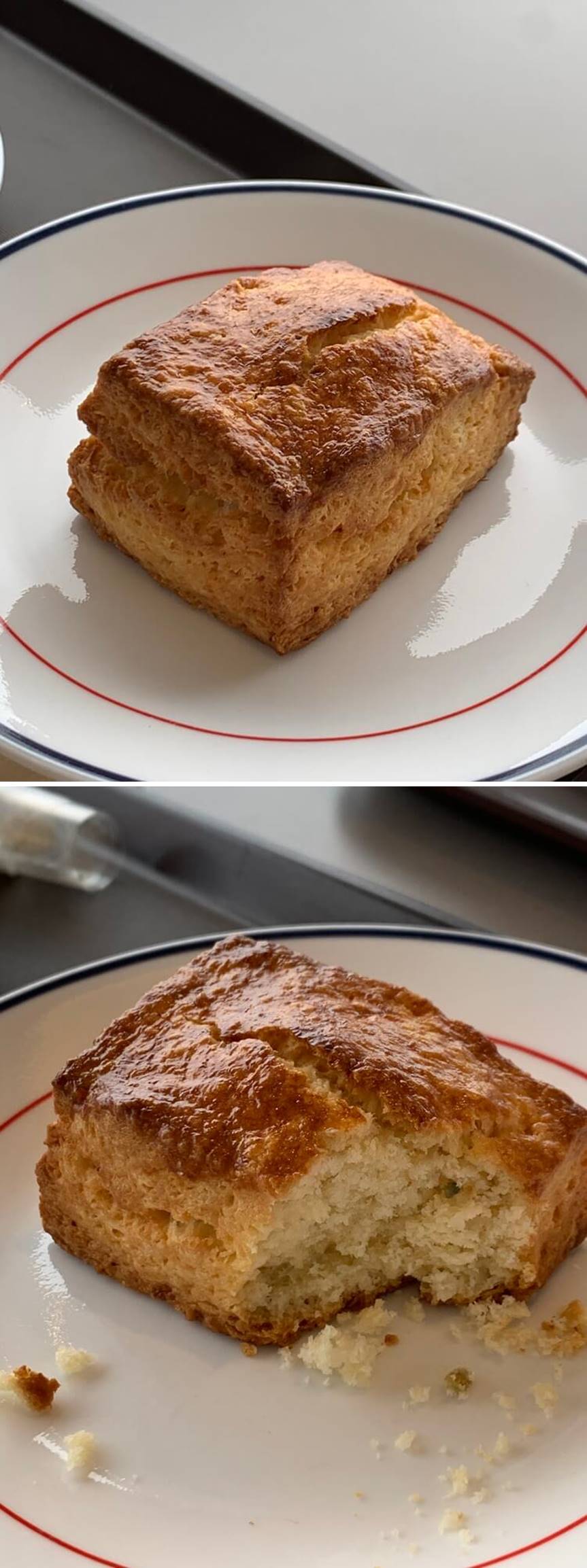 버터스콘