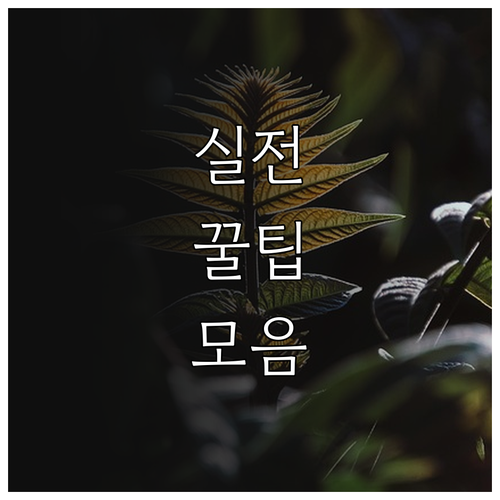 2025년 우리 회사 기술 안전한가 ..