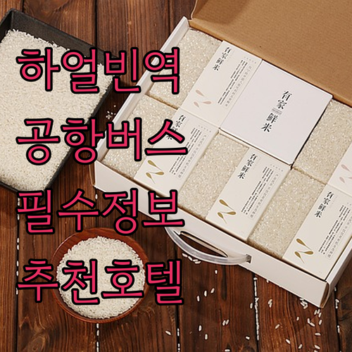 하얼빈 서역 공항버스 시간표 요금 정..