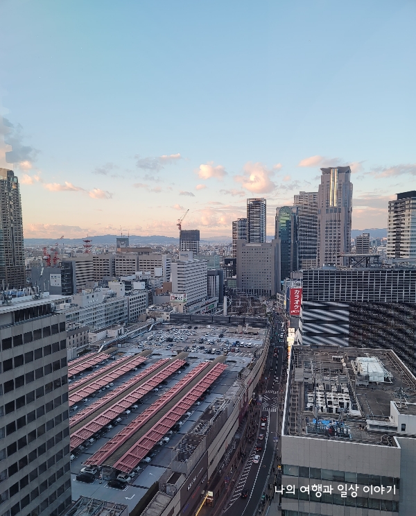 관람차에서-본-오사카시내