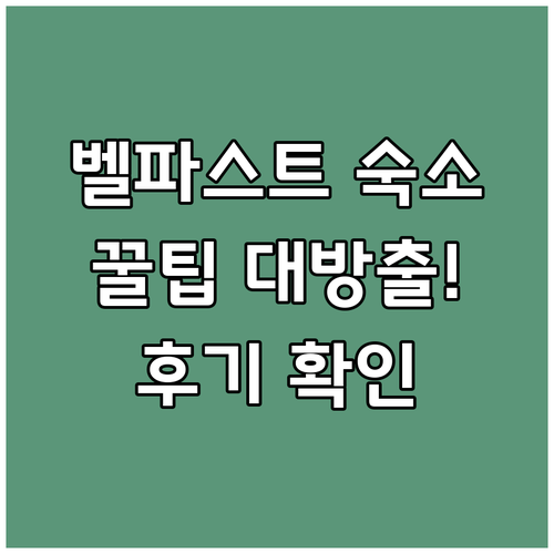 벨파스트 숙소 여행객 리얼 후기와 함