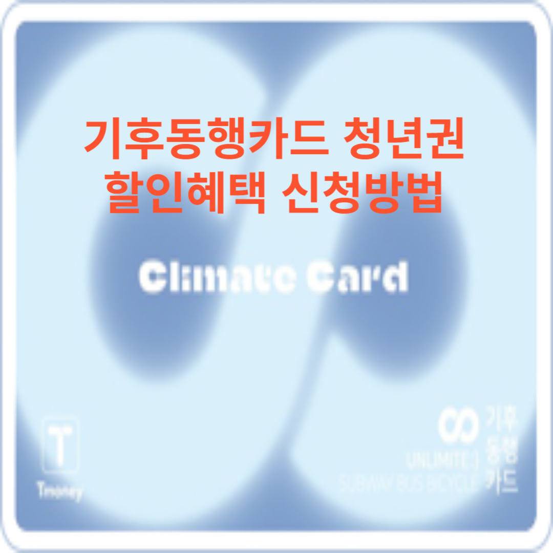 기후동행카드 청년권 청년할인