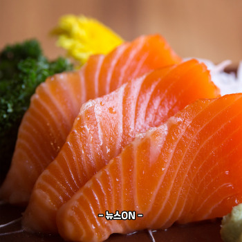 비타민b12가 많은 음식