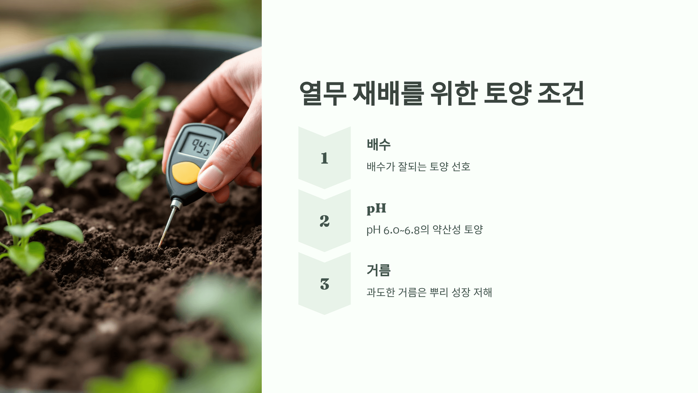 열무 사진입니다.