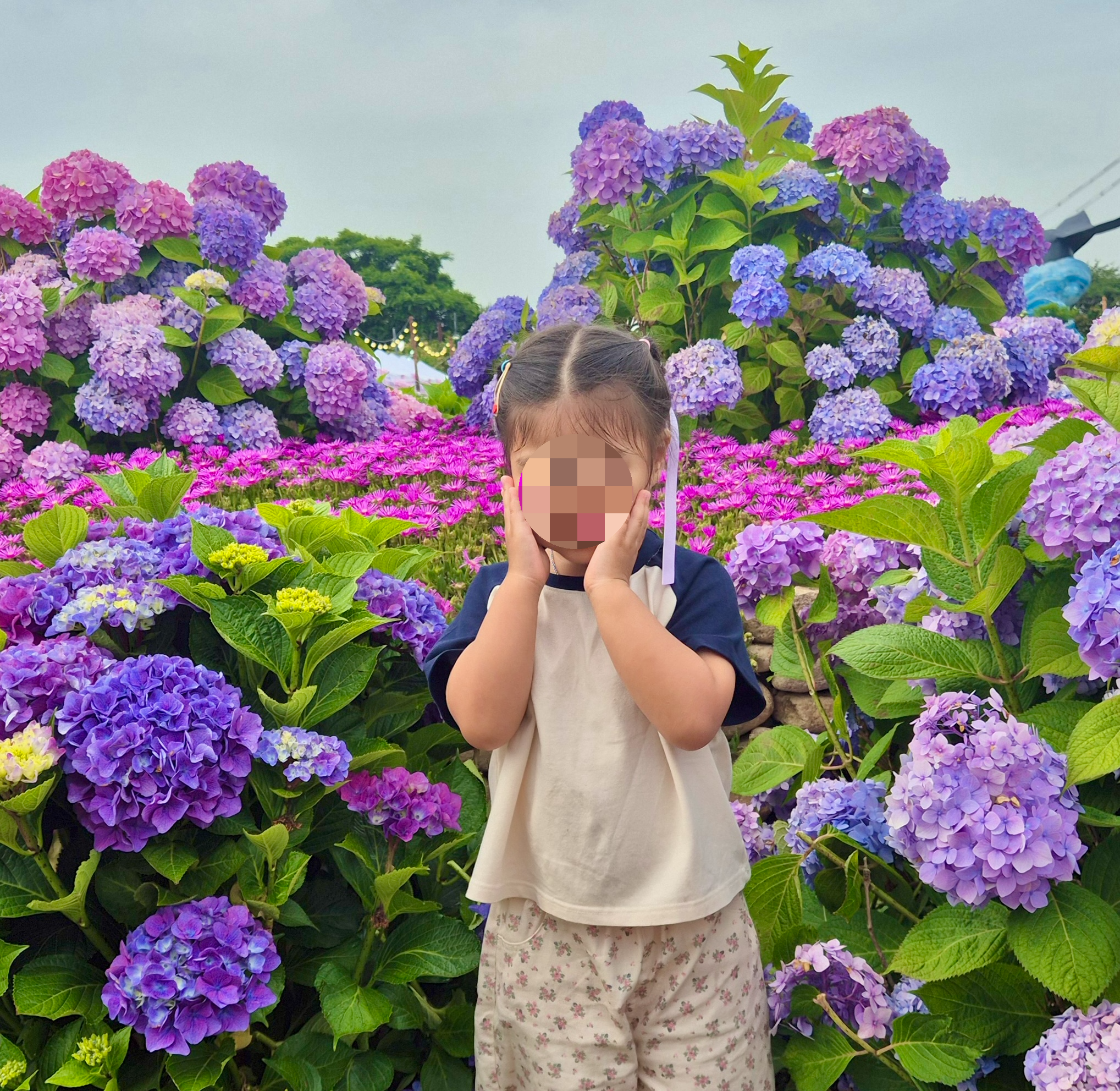 #장생포수국축제
#울산수국축제
#고래문화마을
#울산장생포가볼만한곳
#장생포포토존
#고래광장수국길
#오색수국정원
#수국축제개화상황2025
#수국사랑상품권사용처
#울산6월축제
#장생포여행코스
#울산플리마켓체험
#울산데이트코스
#울산여행추천
#장생포주차정보
#수국포토존