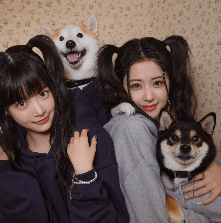 르세라핌 레코드협회 플레티넘