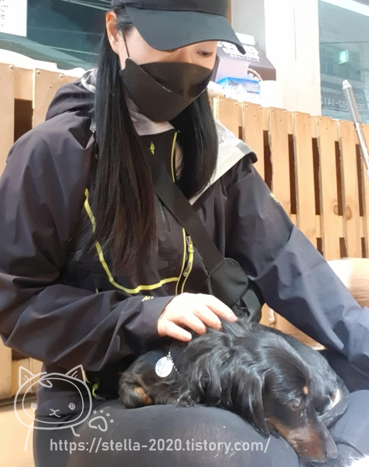잠실, 잠실새내 애견카페 "도그존_Dog Zone" + 캣존 잠실, 잠실새내 애견카페 "도그존_Dog Zone" + 캣존