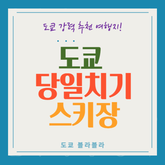 도쿄 스키장