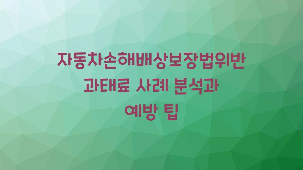 자동차손해배상보장법위반과태료