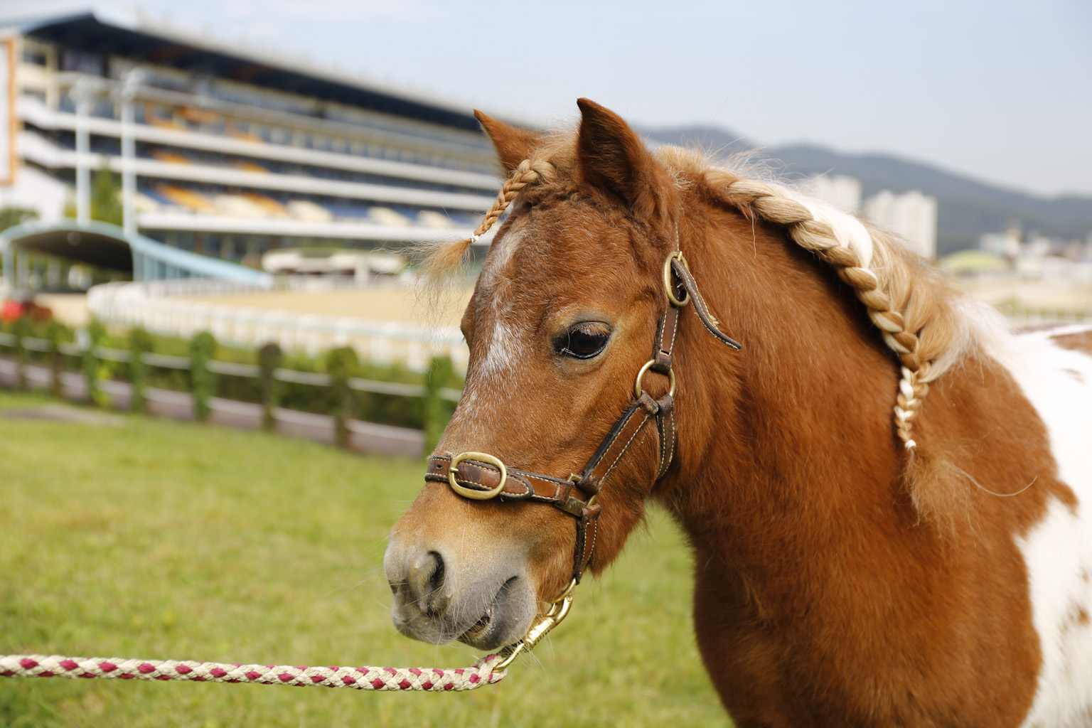 승마의 매력 승마 체험 추천