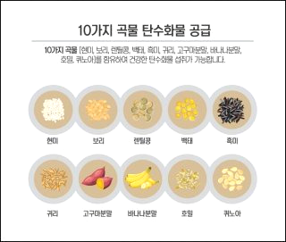 단백질 많은 음식 효능 효과