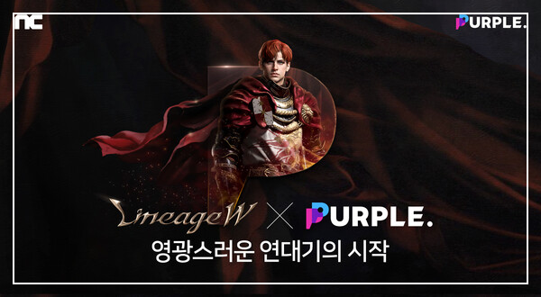 엔씨소프트 퍼플 확장