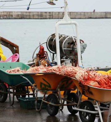 영덕 가볼만한곳 베스트10