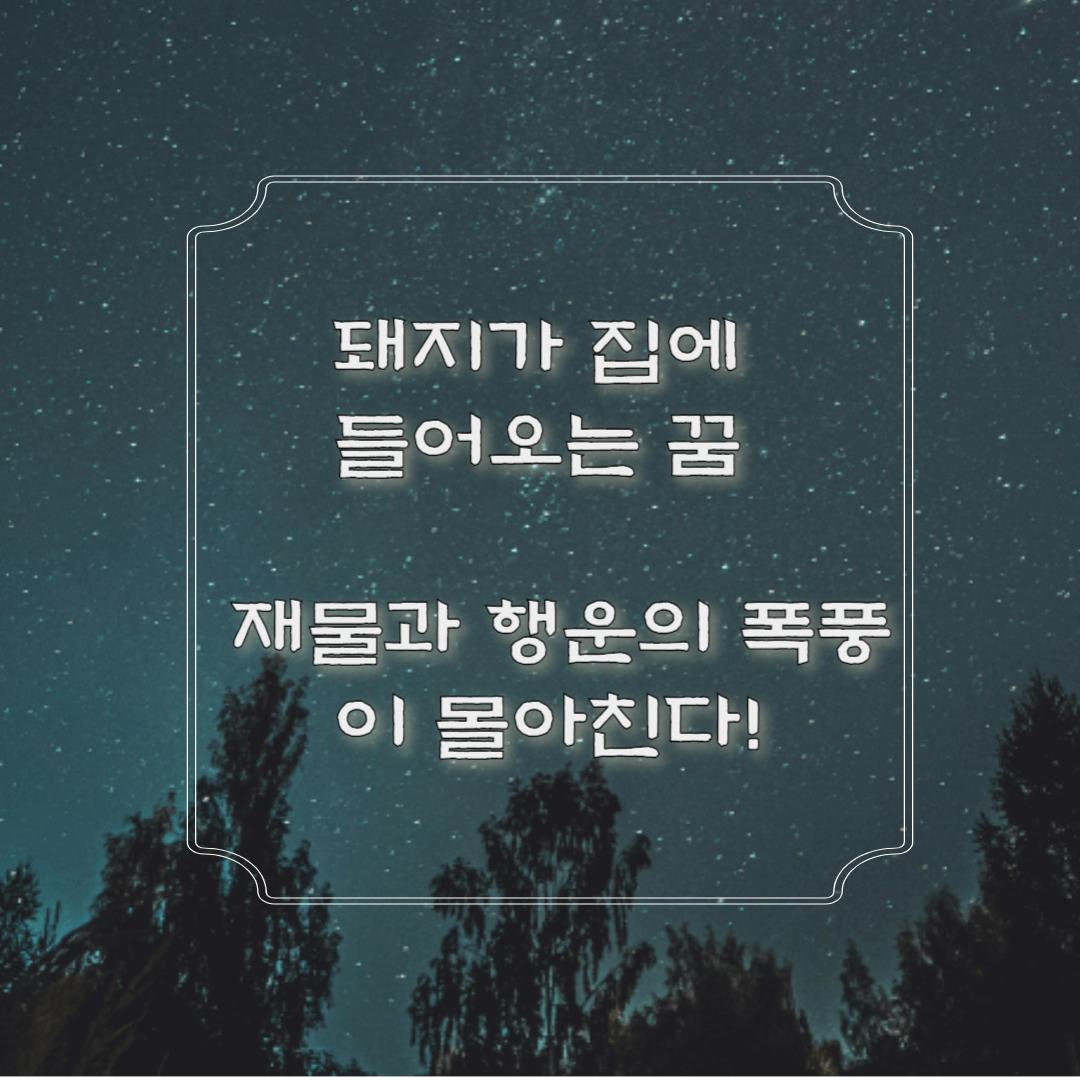 돼지가 집에 들어오는 꿈