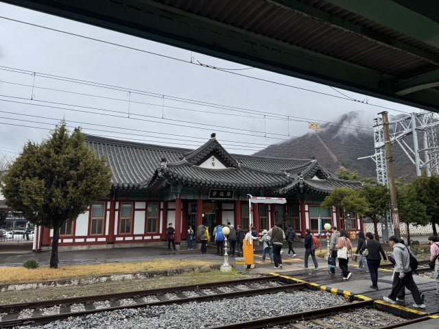 영월 당일치기 여행! 단종 유배지 청령포, 선돌