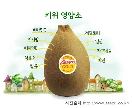 키위 효능과 부작용 비타민 풍부한 과일 정보_6