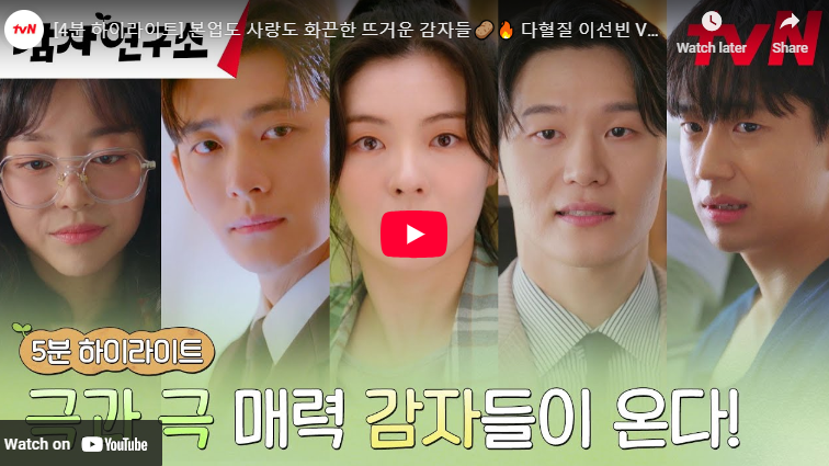 감자연구소 출연진 등장인물관계도 몇부작 드라마 정보